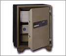 כספות חסינות אש BOOIL SAFES